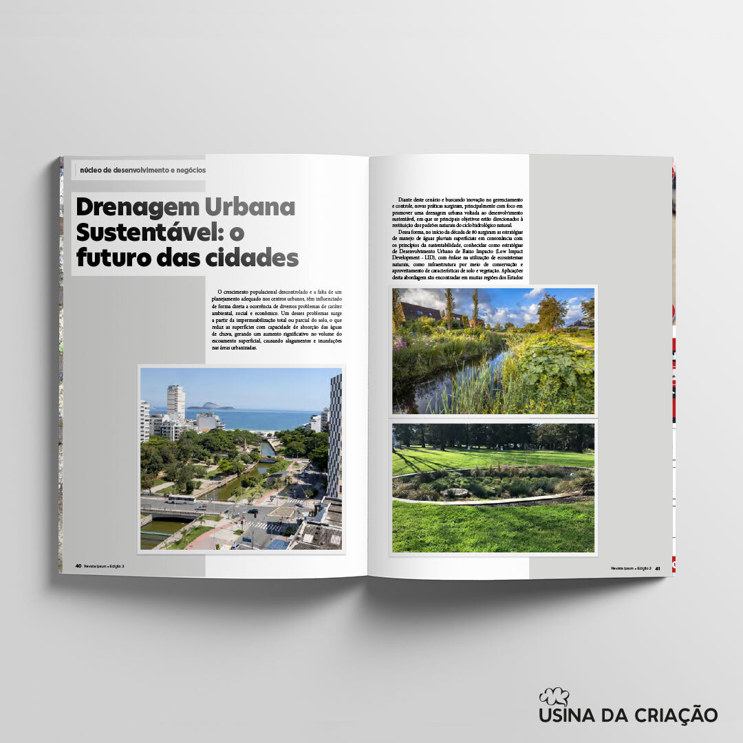 Revista Ipsum 3ª Edição - Sinduscon-Sul