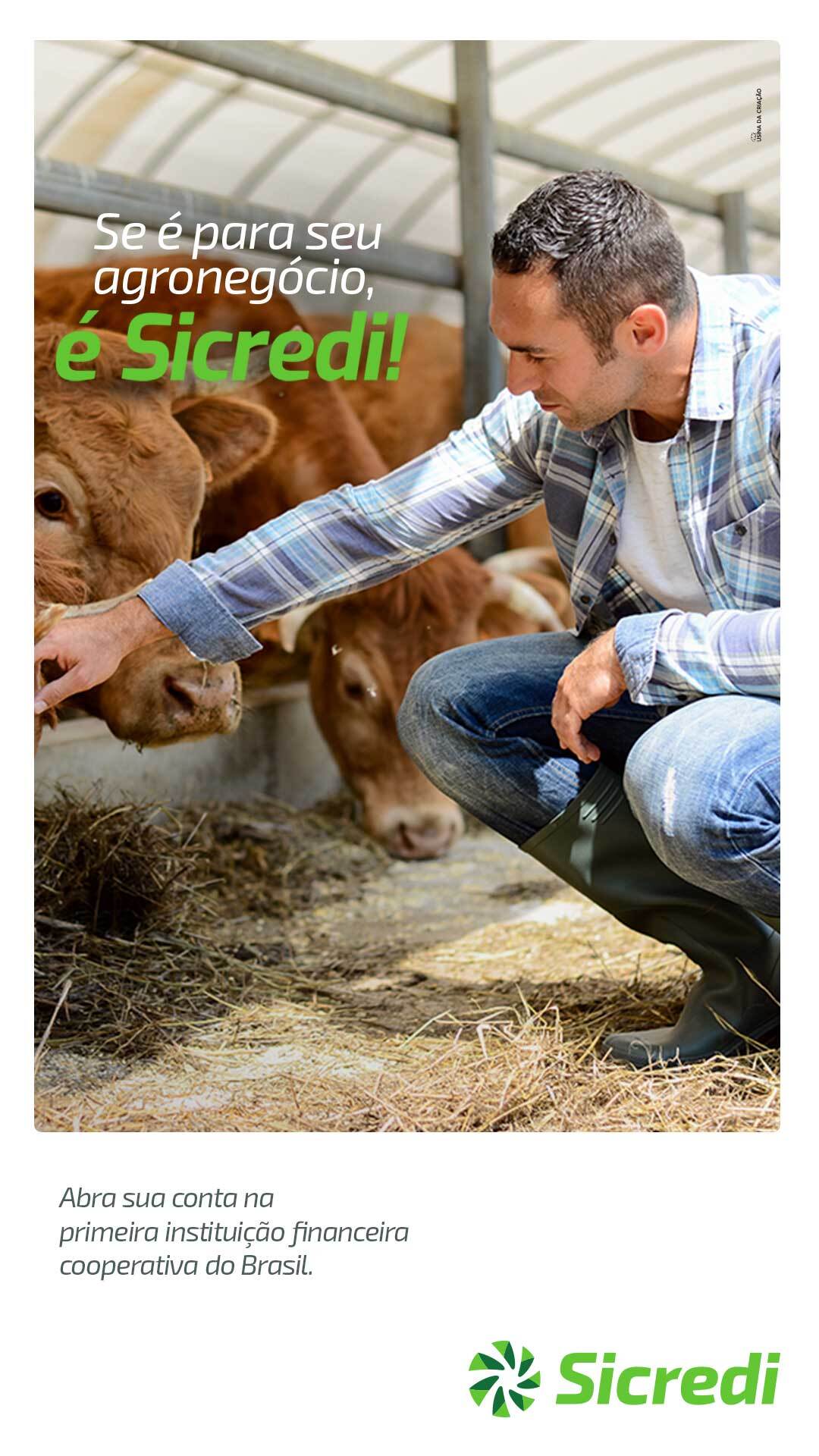 Sicredi Integração - WhatsApp